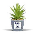 thumbnail image 1 of Constellation Fate Birthday Celebration Geni Fake Pineapple Flower Pot Vase Mini Decor, 1 of 3