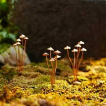 HOT Mushroom Metal Decorative Garden Stakes Perfect for Outdoor Spring Decor and Adding to Your Flowers
