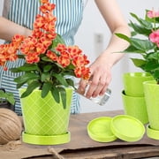BUYMAX 5 Ceramic plant pots with drainage hole and tray, 4-Pack-4-patterns, gardening home desktop office windowsill decoration, green flower pots indoor