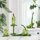 thumbnail image 1 of 4 Uds. Rana americana de Yoga para jardín, artes y manualidades de resina, decoración, mueble de TV, porche, bodega, decoración de animales, los tamaños varían, 1 of 5