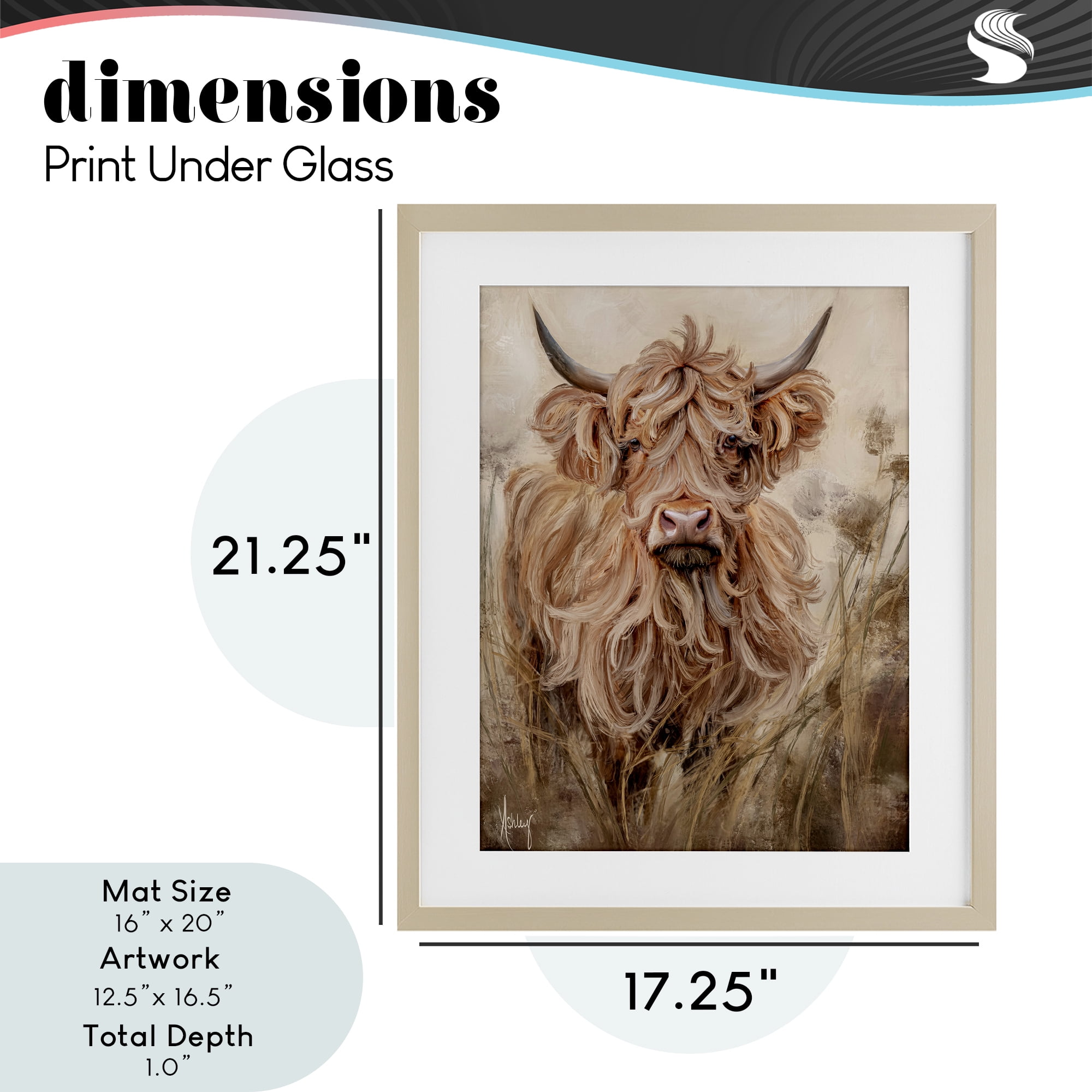Curly Haired Highland Cattle Birch Framed Print Under Glass, design by Ashley Bradley