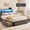 Gray, variant on Lifezone Twin Bed Frame with 2 Storage Drawers, Platform Bed Frame with Headboard, Charging Station & LED, Metal Support, No Box Spring Needed, Noise Free, Brown