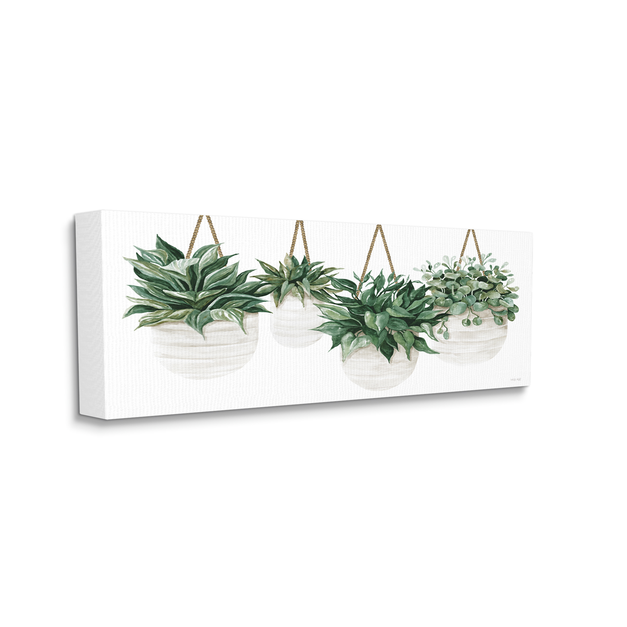 Stupell Industries Hanging Planters House Plant Casual Blooming Leaves Painting Gallery Wrapped Canvas Print Wall Art, Design by Cindy Jacobs