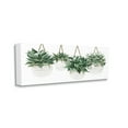 thumbnail image 3 of Stupell Industries Hanging Planters House Plant Casual Blooming Leaves Painting Gallery Wrapped Canvas Print Wall Art, Design by Cindy Jacobs, 3 of 7