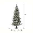 thumbnail image 3 of Vickerman 10' x 58" Flocked Kiana Artificial Christmas Tree, Dura-Lit® LED Warm White Mini Lights, 3 of 5