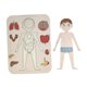 thumbnail image 3 of Rompecabezas de madera del cuerpo humano para niños, rompecabezas de anatomía, herramienta de enseñanza de motricidad fina, juego para aprender las, 3 of 8