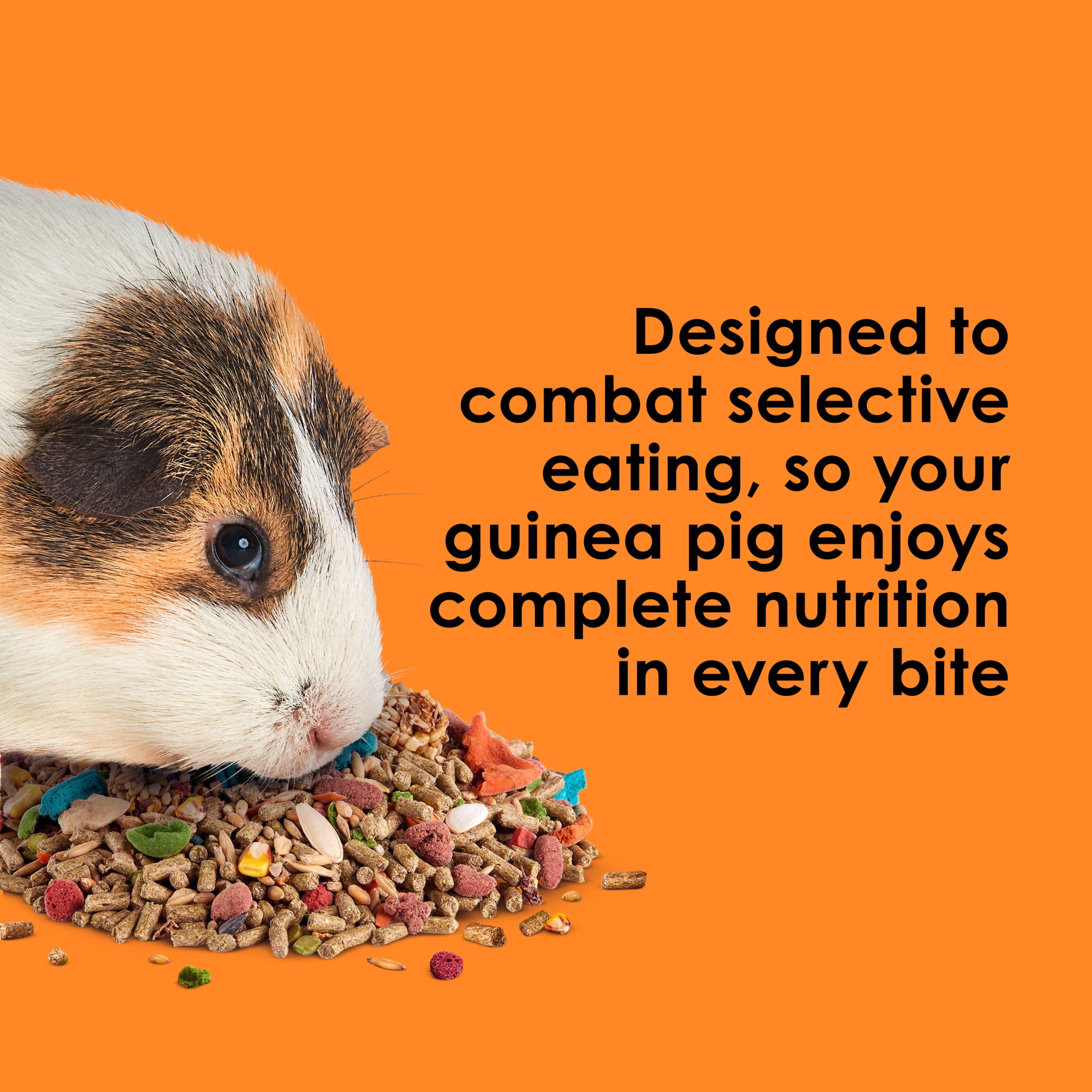 Kaytee Fiesta Guinea Pig Food, 25 Pounds