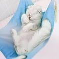 thumbnail image 4 of Billuyoard Cama colgante para ratas, cómoda hamaca para ratas y animales pequeños, cama colgante para gatos, jaula para gatos Perchas para gatos azul claro, 4 of 6