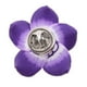 thumbnail image 5 of Broche Pin de Forma Flor Joyería Elegante para para proteger Purple1, 5 of 9