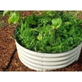thumbnail image 3 of Vego Garden 17" Tall 42 inch Round Metal Raised Gardening Bed - Pearl White, 3 of 9