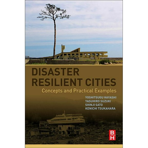 Disaster Resilient Cities: Concepts and Practical Examples, (Paperback)
