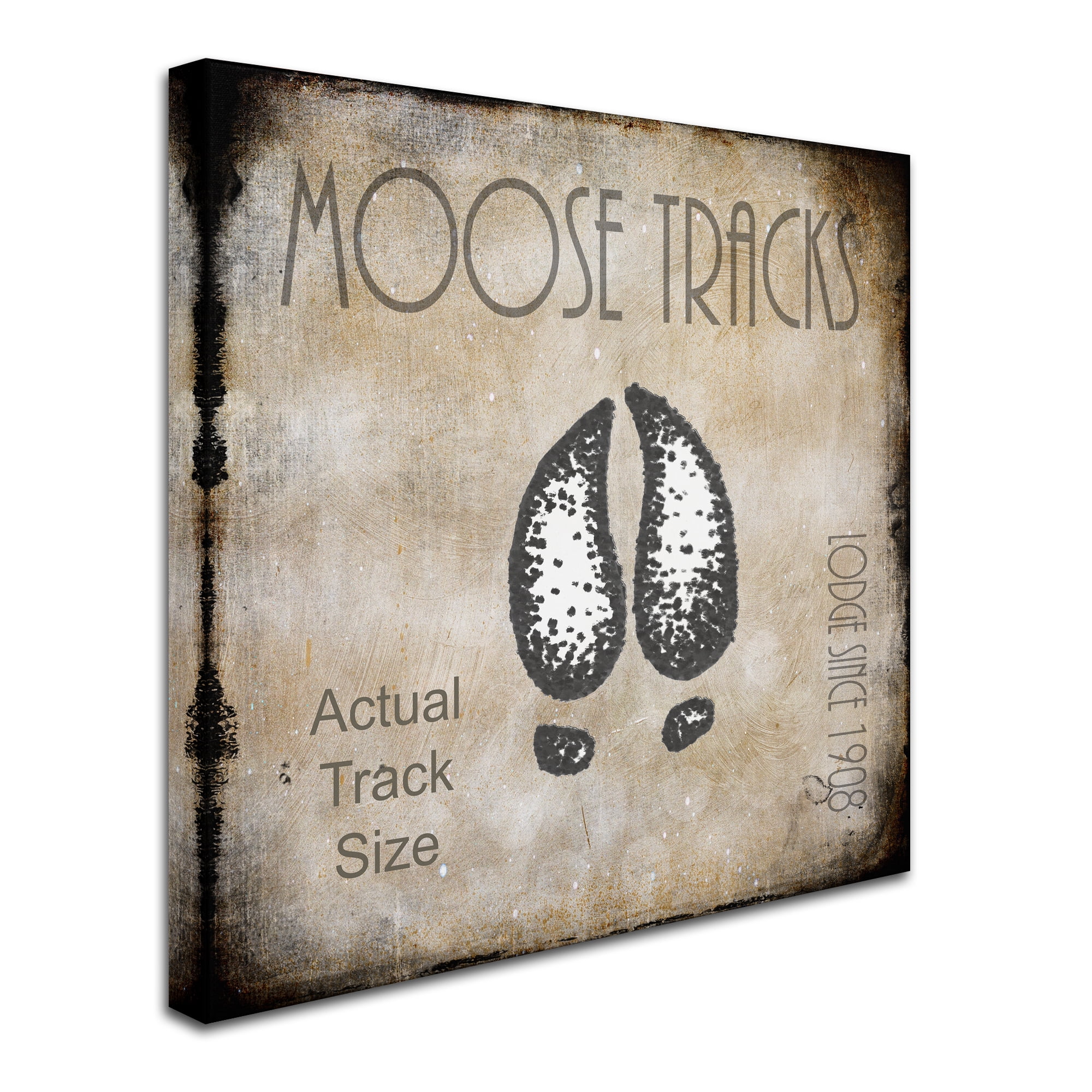 Trademark Fine Art 'Moose Lodge 2 - Moose Tracks 2' Canvas Art by LightBoxJournal