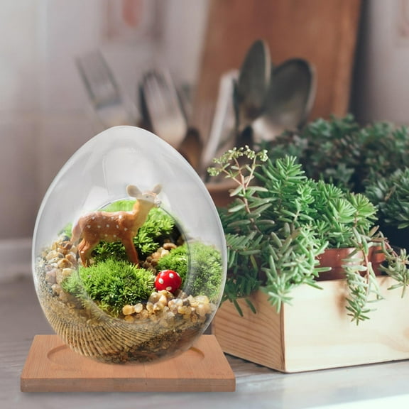 GOOHOCHY 1 Set Decorative Glass DIY Terrarium Succulent Plant Displaying Bottle Indoor Gardening Decor