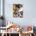 thumbnail image 4 of Cuadros Decorativos Kit de pintura de diamante 5D mosaico de taladro redondo completo de gato DIY (HJ498) DQrwqpou Nuevos Originales, 4 of 9