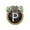 P, variant on Last Name Year Round Front Door Wreath,Decorative Hanging Plaques In Front Of The Door C