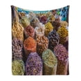 thumbnail image 1 of Spice Soft Flannel Fleece Throw Blanket, Dried Herbs Flower Spices in the Bazaar in Deira Dubai Traditional Tastes, Cozy Plush for Indoor and Outdoor Use, 70" x 90", Multicolor, by Ambesonne, 1 of 6