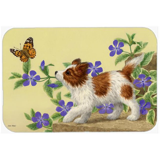 Carolines Treasures ASA2204CMT Papillon Pup Kitchen or Bath Mat, 20 x 30