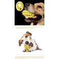 thumbnail image 5 of Toy Suction Cup Molar Toy chew Resistant Pull Rope Leakage Ball Dog Training pet Supplies (Yellow), 5 of 5