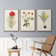 thumbnail image 5 of Flowers of the Seasons VI - Framed Premium Gallery Wrapped Canvas L Frame 3 Piece Set - Ready to Hang, 5 of 9