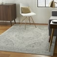 thumbnail image 4 of Serene Traditional Persian Ivory/Grey 5'3" x 7'3" Area Rug, (5' x 7'), 4 of 6