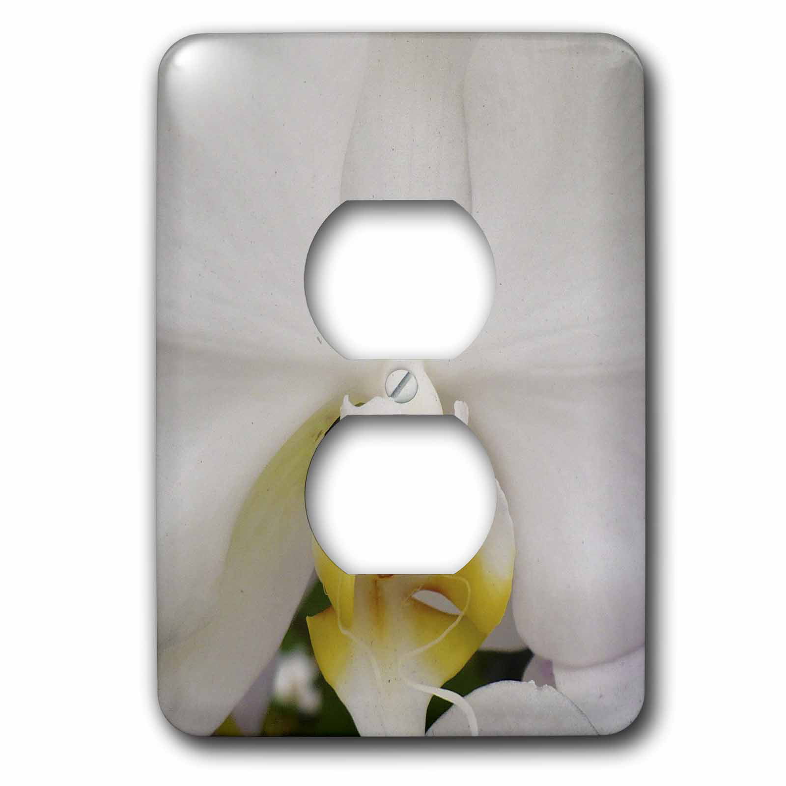 Multicolor 3dRose lsp_7455_6 Daisy Orchid 2 Plug Outlet Cover