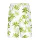 thumbnail image 3 of Pantalones Cortos Casuales para Hombre Imprimir con Bolsillos Pantalones de Playa de Cintura Elástica, Pantalones Cortos de Cintura Elástica para Hombre, 3 of 6