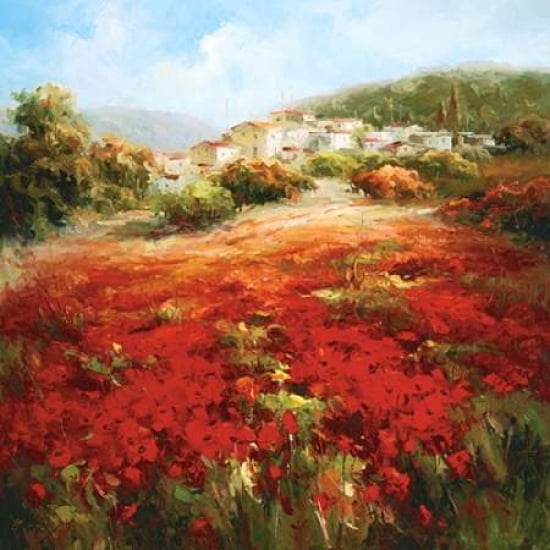 Poppyhill Village C