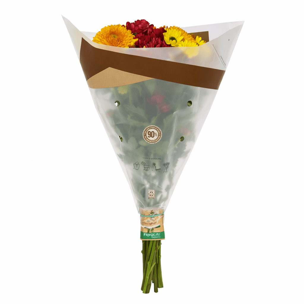 Rainbow Pom Flower Bunch Large, Colors May Vary