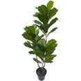 thumbnail image 3 of Nearly Natural 65" Fiddle Leaf Artificial Tree Uv Resistant, Indoor/Outdoor, Green, 3 of 6