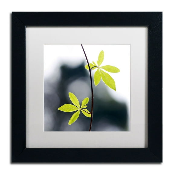 Trademark Fine Art "Two of Us" Canvas Art by Beata Czyzowska Young White Matte, Black Frame