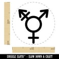 thumbnail image 2 of Male with Stroke and Female Sign Transgender Gender Symbol Self-Inking Rubber Stamp Ink Stamper - Sky Blue Ink - Medium 1 Inch, 2 of 7