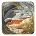 thumbnail image 1 of Carolines Treasures JMK1208FC Alligator Foam Coasters- Set Of 4, 1 of 1