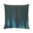thumbnail image 1 of Ahgly Company Indoor Square Contemporary Throw Pillow, 18 inch by 18 inch, 1 of 5