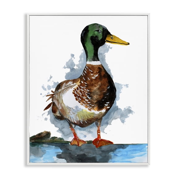 Stupell Industries Modern Mallard Duck Water's Edge White Framed Giclee Art, 11 x 14, by Sebastian Grafmann