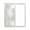 Green, variant on Static Cling Non Adhesive Window Film, Aqua Grey Chrysanthemum Window Privacy Film Frosted, Farmhouse Botanical Floral Modern Opaque Window Coverings for Small Windows, Home, 17.7 x 39.3 Inches