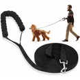 thumbnail image 1 of Dog Training Leash with Long Leash and Padded Handle for Small and Large Dogs - 10m x 2cm, Black, 1 of 5