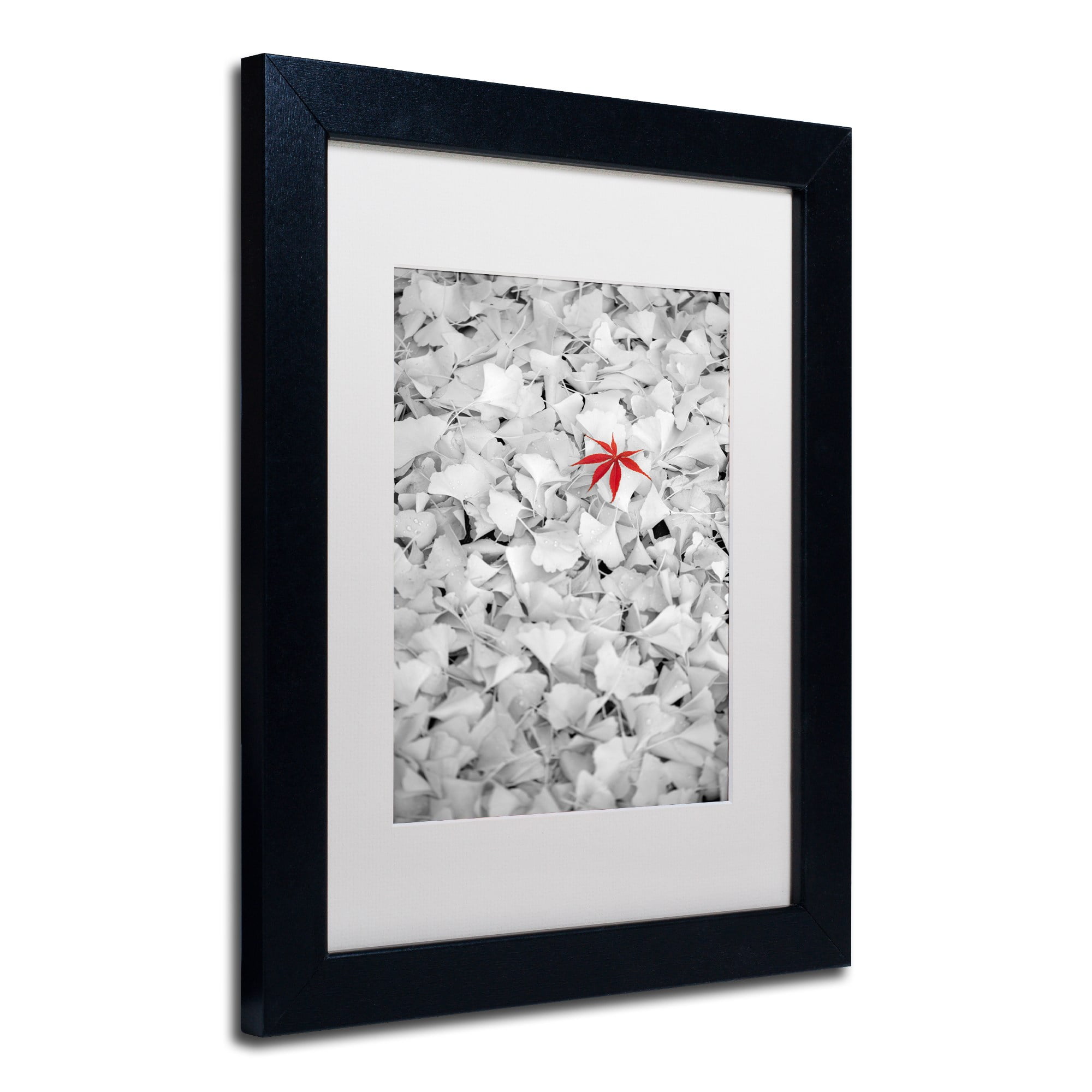 Trademark Fine Art "Rebel Leaf" Canvas Art by Philippe Sainte-Laudy White Matte, Black Frame