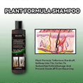 thumbnail image 2 of Champú de jengibre anti-descamación 3x para la fijación del cabello, reparación, sequedad, daño, antipicazón, control de grasa, cabello esponjoso, sin rocío, 2 of 5