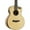 Spruce, variant on Traveler Guitar Redlands Concert Spruce
