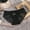Black, variant on Panties for Women Tbopshirt Brief Underwear,Hipster Underwear,Women Underwear Lace Perspective Sensuality Underpant,Cheeky Panties