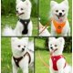 thumbnail image 4 of Cuerda de tracción para perros Perros pequeños Cadena de cuerda para perros Correa para caminar para perros Chaleco para perros Cuerda de tracción para perros Lago Naranja 2XS oso de fresa Electrónica, 4 of 5