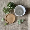 thumbnail image 4 of Interesting Unique Succulent Flower POTS Make A Great Gift For Home Gardening Ideas, 4 of 4