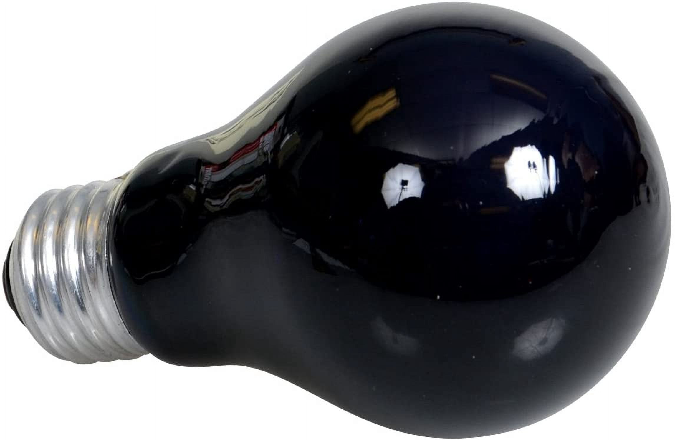 Zoo Med Moonlight Reptile Bulb [Reptile Incandescent Bulbs, Reptile Night Bulbs, Reptile Supplies] 100 watt