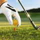 thumbnail image 5 of Sonducket 10 piezas 1 juego de pelotas de golf pequeño entrenamiento accesorio de golf práctica pelota flotante para entrenadores practicantes adultos Golf amarillo Sonducket OD003040-03, 5 of 6
