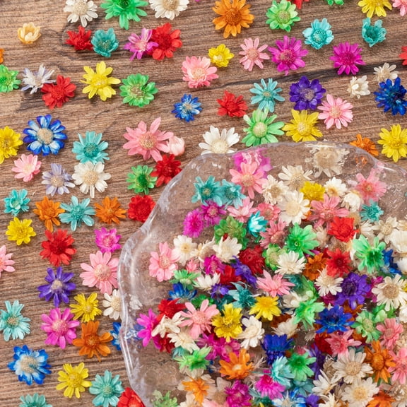 Colorful Small Dried Flowers for Crafts - 280Pcs Mini Dried Flowers for Resin, Tiny Natural Real Dried Pressed Flowers Bulk for DIY Jewelry Earrings Epoxy Molds, Candles Soap Making