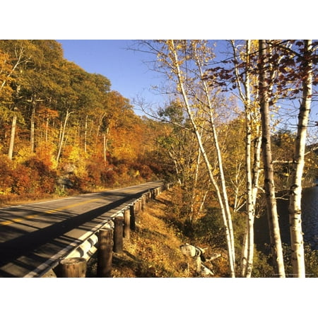 Tranquil Road with Fall Colors in New England Print Wall Art By Bill
