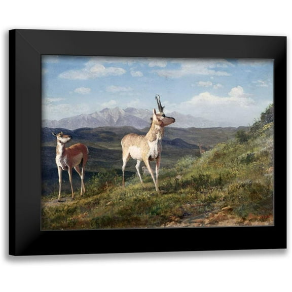 Bierstadt, Albert 14x11 Black Modern Framed Museum Art Print Titled - Antelope