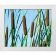 thumbnail image 3 of C. Thomas McNemar 18x15 White Modern Wood Framed Wall Art Titled - Cattailes, 3 of 5