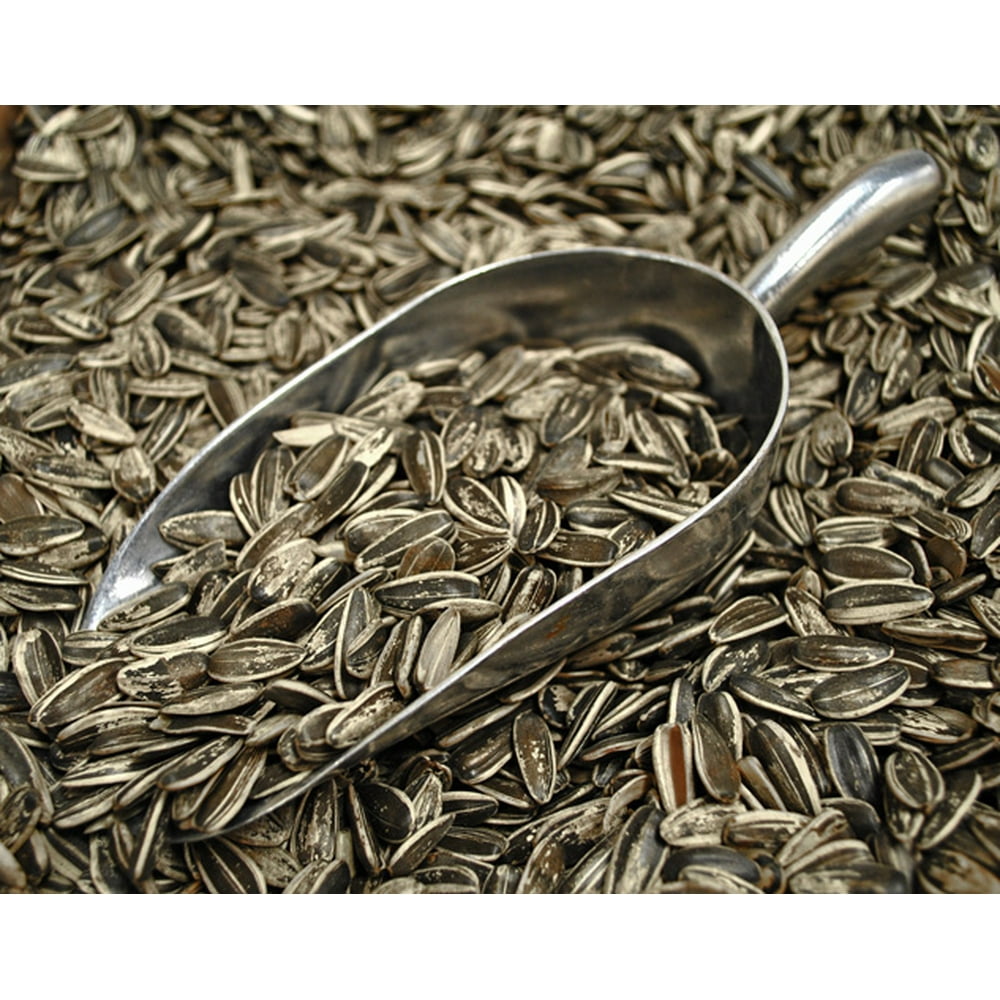 SweetGourmet Roasted InShell Sunflower Seeds Unsalted 15oz