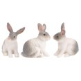 thumbnail image 1 of Lapins Modèles 3pcs Modèles Lapins Simulés Jouets Animaux Décoratifs Enfants Accessoires Cognitifs Gris, 1 of 8